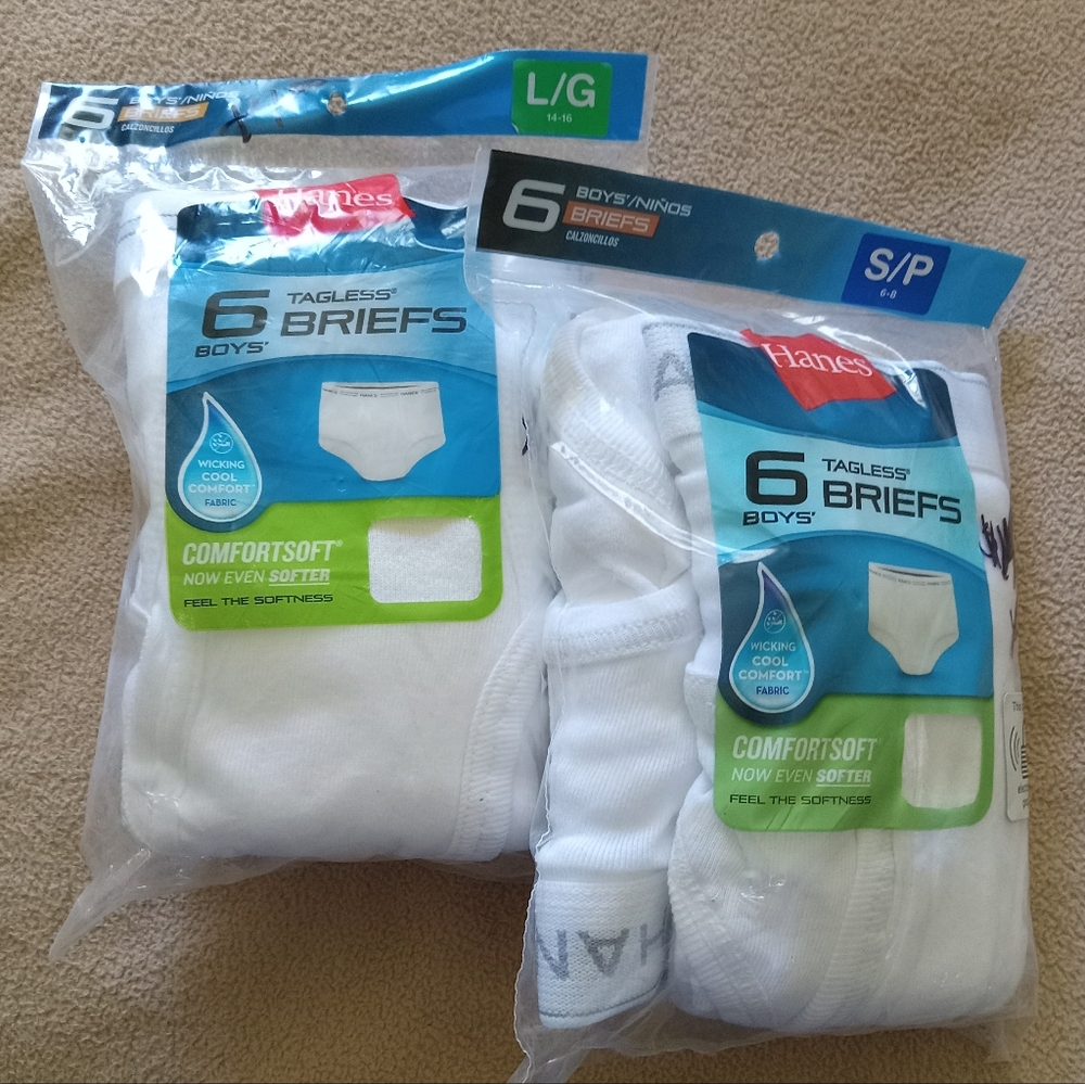 1-6pk Hanes Tagless Briefs